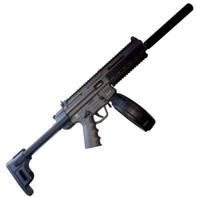 GSG-16 Carbine .22LR 110RD