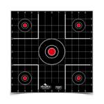 B/C DIRTY BIRD SIGHT IN TGT 12-12"