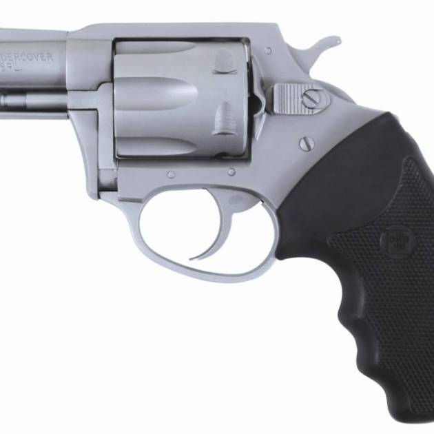 CHARTER ARMS CHARTER POL UNDRCVR 38SP SS 2"