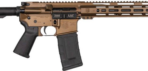 DBF DB15 300BLK 16B 30R BRONZE