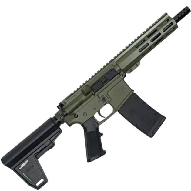 223WYLDE PSTL W/BRC 30RD ODG