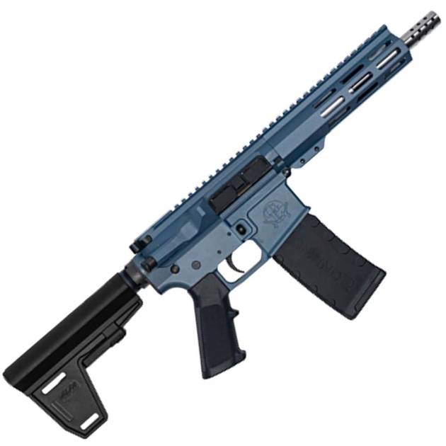 223WYLDE PSTL W/BRC SS 30R BLU