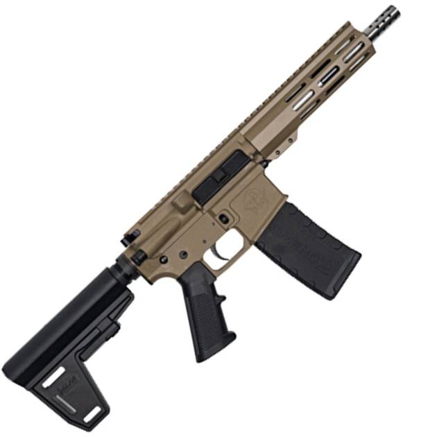 223WYLDE PSTL W/BRC SS 30R FDE