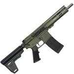 223WYLDE PSTL W/BRC SS 30R ODG