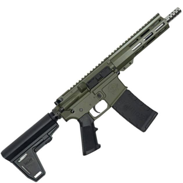 223WYLDE PSTL W/BRC SS 30R ODG