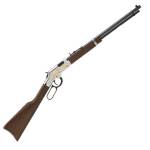 HEN H4 2nd Amendment 22LR