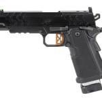 KIMBER 2K11 45ACP OR 13RD BLK