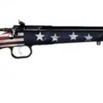 Crickett Rifle G2 .22LR Youth 16.12" Single Shot Old Glory