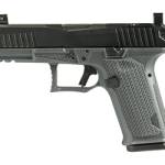 LWD DUSK 19 RMR 9MM 15RD GRAY/BLACK