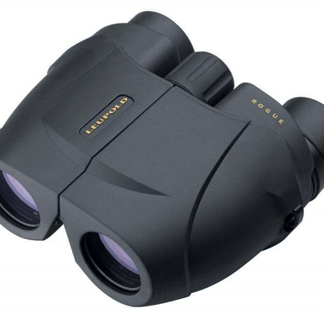 LEUPOLD BINOCULAR BX1 ROGUE 10X25  BLK