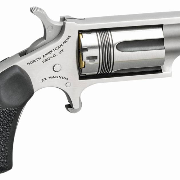 NORTH AMERICAN ARMS THE WASP 22MAG REV 1-1/8" SS