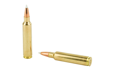 NOSLER 30NOS 180GR AB 20/200 - Image 4