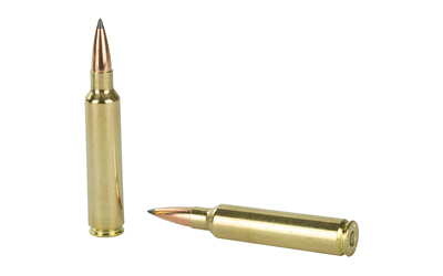 NOSLER 30NOS 210GR ABLR 20/200 - Image 4