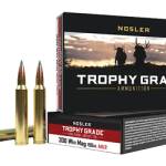 NOSLER TGA 300 WIN 190GR ABLR 20/200