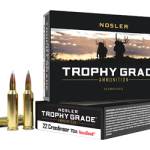 NOSLER TGA 22CM 70GR AB 20/200