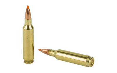 NOSLER 22NOS 55GR BT 20/200 - Image 4