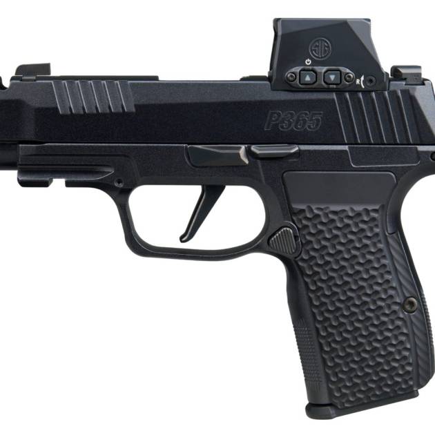 SIG SAUER P365 AXG LUXE 380ACP 12+1 ROMX