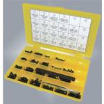 PKMYR MASTER GUNSMITH TORX SCREW SET