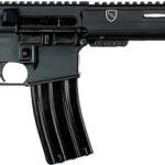 Alexander Arms 300 AAC Blackout R300-ST 16" Fluted Barrel 30+1 EFX Stock Black