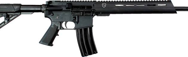 Alexander Arms 300 AAC Blackout R300-ST 16" Fluted Barrel 30+1 EFX Stock Black