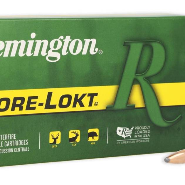 REM 300WSM 150GR CORE PSP 20RD