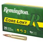 REM 30-06 150GR PSP CL 20/200