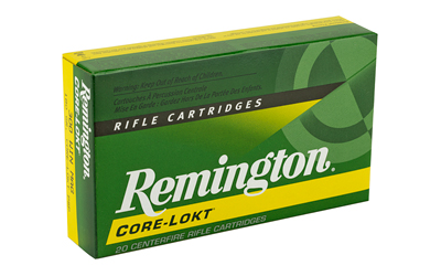 REM 300WIN 180GR PSP CL 20/200 - Image 2