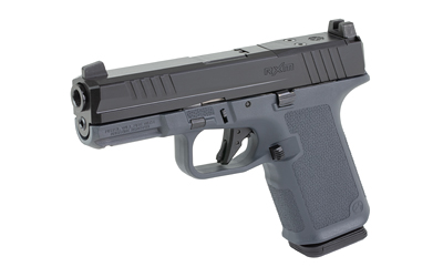 RUGER RXM 9MM 15RD NS GRY W/MGPL EHG - Image 4