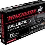 Winchester 223 Supreme SBST223B 55 gr Ballistic Silver-tip 20 rounds