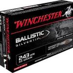 Winchester 243 Win Supreme SBST243 55 gr Ballistic Silvertip 20 rounds