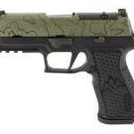 SIG P320 XTEN ENDR CMP 10MM 15RD GRN