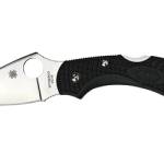 SPYDERCO DRAGONFLY2 BLACK FRN PLAIN