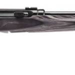 SAVAGE ARMS A17 TARGET 17HMR BL/LAM 22"