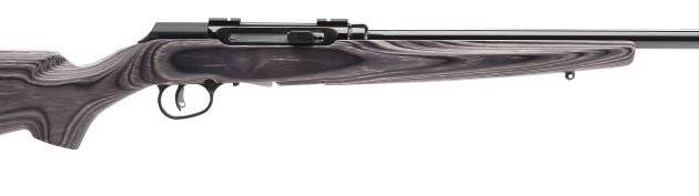 SAVAGE ARMS A17 TARGET 17HMR BL/LAM 22"