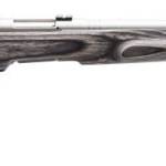 SAVAGE ARMS B.MAG 17WSM SS/LAM THBHL HVBBL