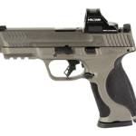 S&W M&P M2.0 9MM 4.25" 17RD HOLO GRY