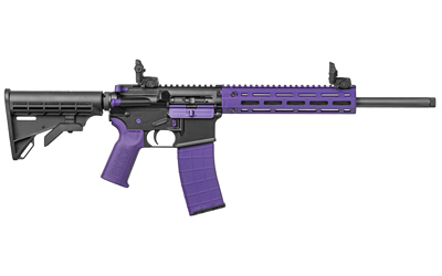 TIPPMANN M4-22 ACCENT 22LR 25RD PRP - Image 2