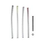 TRUE PREC RECOIL SPNG P365 FUSE 4.3"