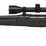 SAV AXIS2XP 22-250 GRN LH