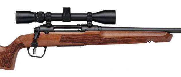 SAVAGE ARMS AXIS 2 243WIN WOOD 22" PKG   #