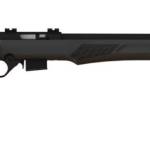 ROSSI RB17 17HMR BLK/SYN 21" 5+1