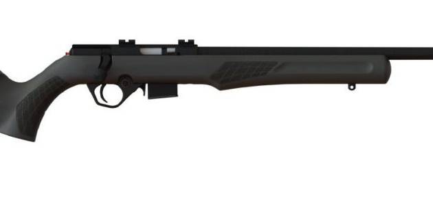 ROSSI RB17 17HMR BLK/SYN 21" 5+1