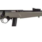 ROSSI RB22 22LR BLK/ODG 16.5" 10+1