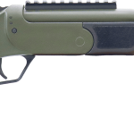 ROSSI BRAWLER 300BLK 9" BL/ODG #