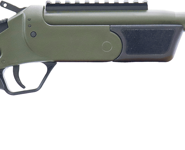 ROSSI BRAWLER 300BLK 9" BL/ODG     #