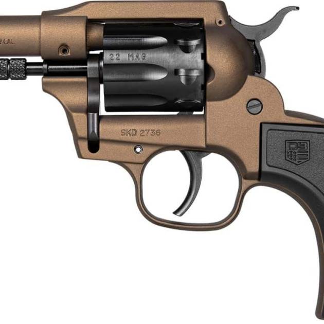 DBF DB SK 22LR|22M BH 3MB 9RD