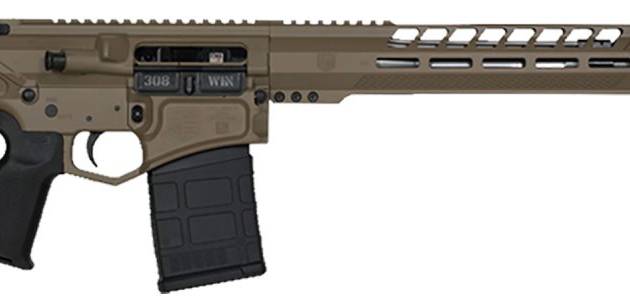 DBF DB10 BLKGLD 308 18FDE 20RD