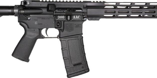 DBF DB15 300BLK 16B 30R DE