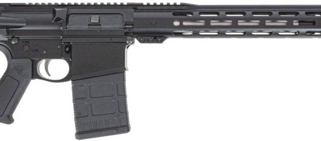 DPM AR10 RFL 308 20RD 18SS B5