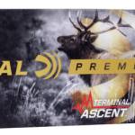 FDR 300WSM 200GR TERM ASC 20RD